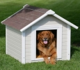 Get Latest Pet House Online in Bangalore @ Wooden Street